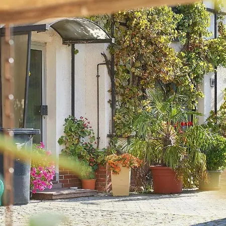 Schwalbenhof Woellnau Doberschutz